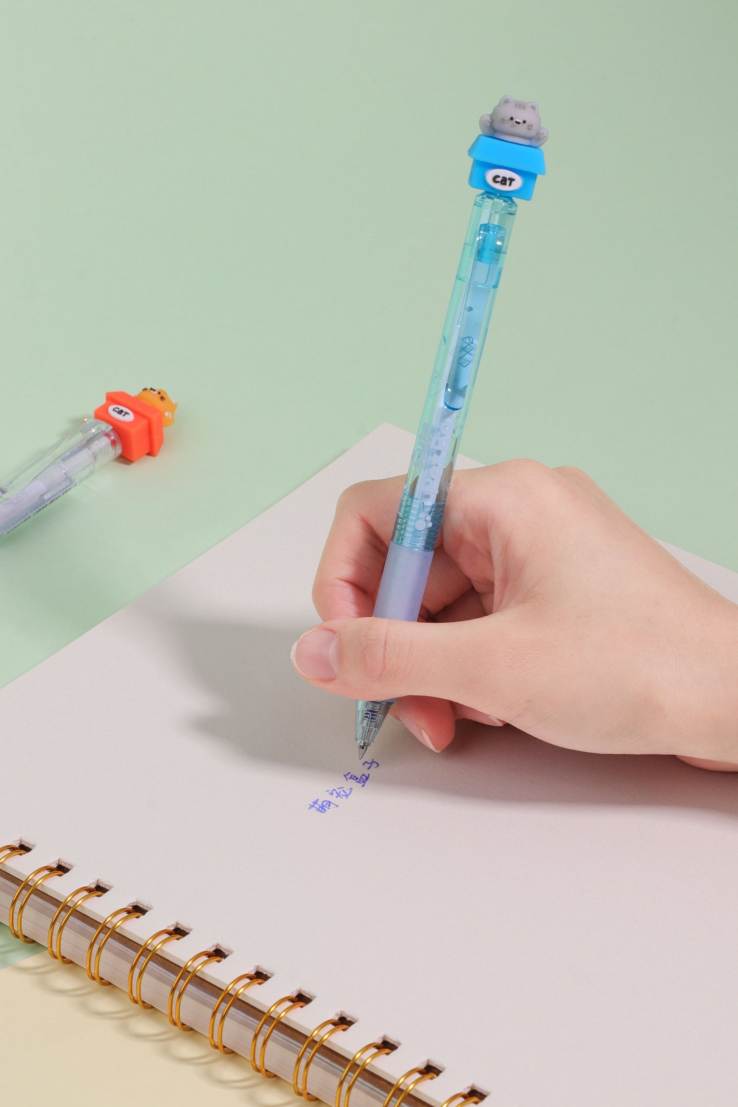 Pet Box Erasable Pen