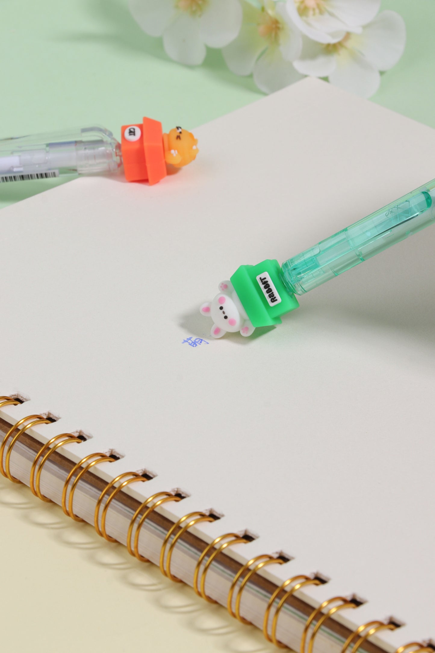 Pet Box Erasable Pen